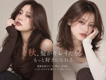 フォルテステラ(FORTE STELLA)の写真