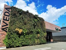 緑いっぱいの壁面緑化が目印です♪