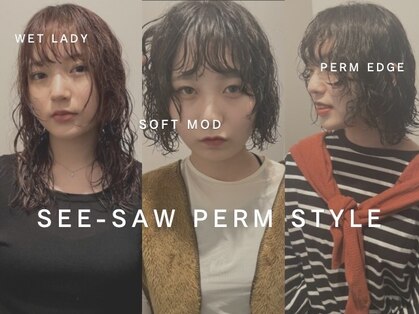 シーソー(SEE-SAW)の写真