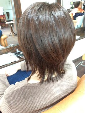 ドルセット ミディアムウルフ