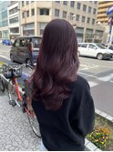 #ラベンダーカラー