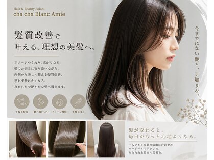 チャチャブラン アミー(cha-cha Blanc Amie)の写真