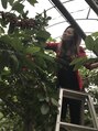 ヘアアンドスパリリィ(LiLiy)&nbsp;サクランボ狩り行きました！毎年何かを狩に行ってます！