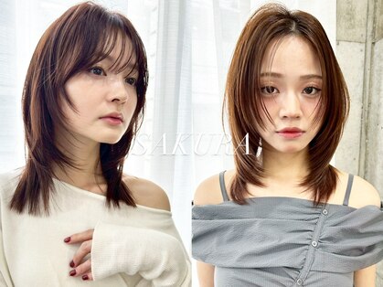 サクラ オモテサンドウ(SAKURA)の写真