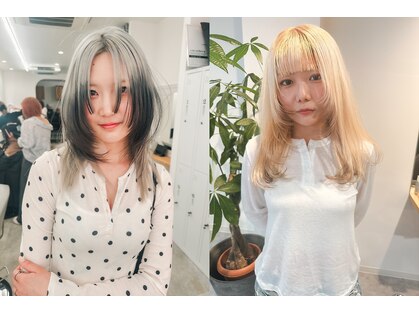シラフ(SHIRAF)の写真