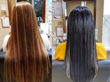 パピヨンロゼ(Papillon Rose)