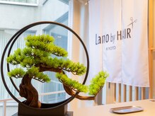 ラノバイヘアー 京都(Lano by HAIR)