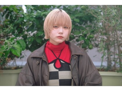 サヴァ ケヤキ(SAVA keyaki)の写真