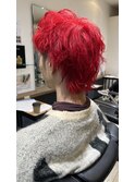 ハイレッド×ショートウルフ