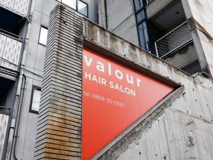 ヴェイラー(valour)の写真