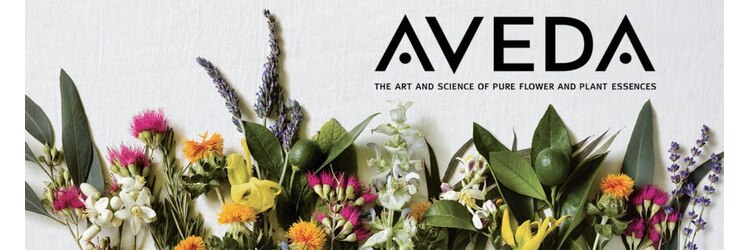 ヴィフアヴェダ(Vif AVEDA)のサロンヘッダー