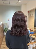 レッドカラー ピンク パープル パーマ ヘアアレンジ
