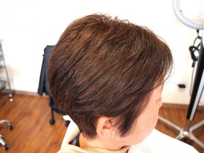 バタフライ(Butterfly)の写真