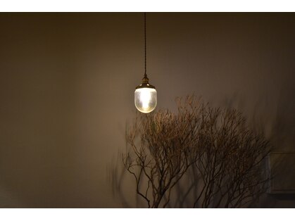 イツモノトコロ(kami to zakka)の写真