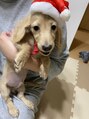 ディア(Dear) 我が家の小太郎です♪