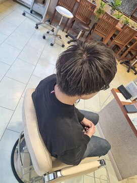 ローザシード(ROZA seed) ハイライトシルバーグレー