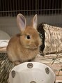 ヴェシ(vesi)&nbsp;動物園や水族館が好きです！