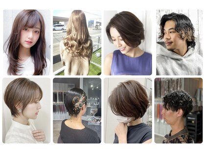 ブルー バード(BLUE BIRD)の写真