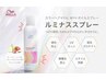 【☆艶だし＆UVスプレー☆】カット+カラー+持ち帰りオイルスプレー付 ￥9900