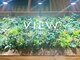 ビューネオ(VIEW NEO)の写真