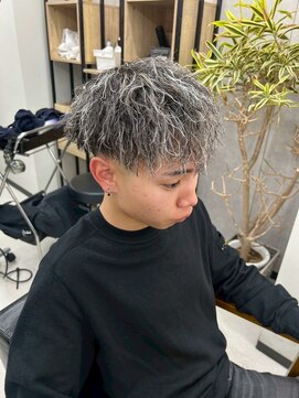 アリープパロット(ALEAP parrot) メンズカット/ツイストパーマ/シルバーメッシュ