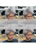 シルバーカラー