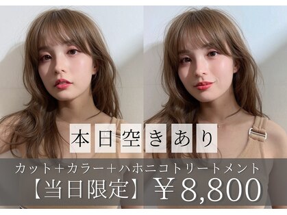 ヴィオラカラー(VIOLLA COLOR)の写真