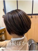 白髪ぼかし(髪質改善/トリートメント/白髪ぼかし/白髪染め)