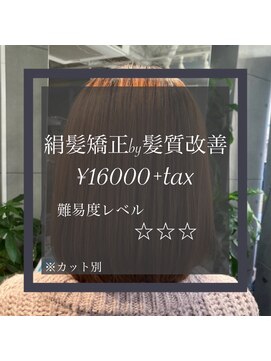 ヴィオラスバイポッシュ ギンザ(Violus by Posh GINZA) 絹髪矯正by髪質改善