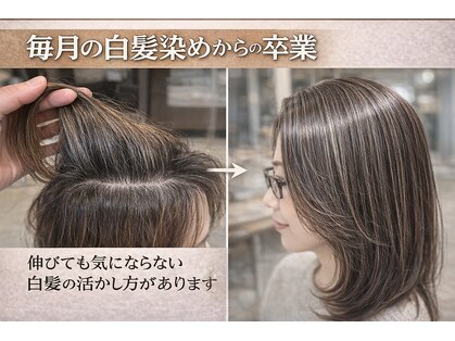 スガミ(SUGAMI)の写真