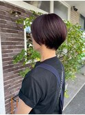 ルビーショート