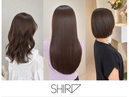 シロ(SHIRO)の写真