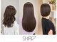 シロ(SHIRO)の写真