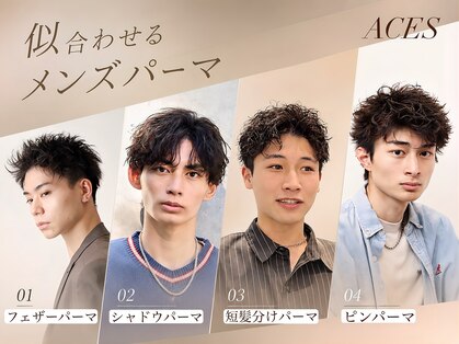 エース(ACES)の写真
