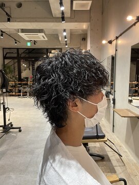 アクシー ヘアーアンドメイク(AXY HAIR&MAKE) ツイストスパイラルウルフマッシュウルフメンズパーマスタイル