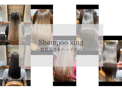 シャンプーキング(Shampoo king)の写真