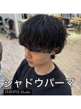 アロハ(ALoha) 《　メンズ　》シャドウパーマ