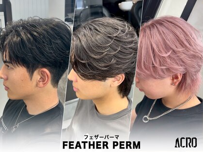 アクロ(ACRO)の写真