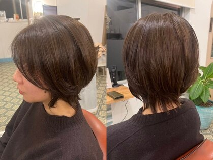 タカ(Taka)の写真
