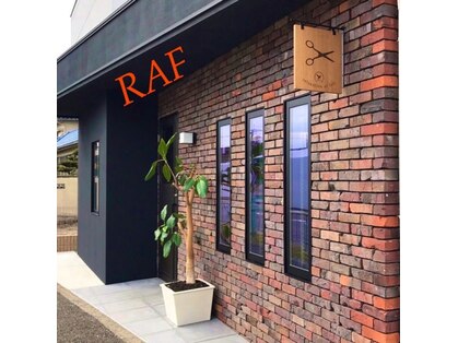 ラフ(RAF)の写真