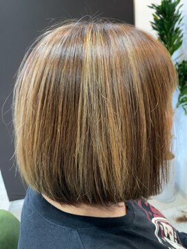 メイン クーン(Maine Coon) ミックスカラー