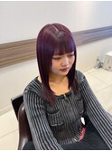 ラベンダーボルドー