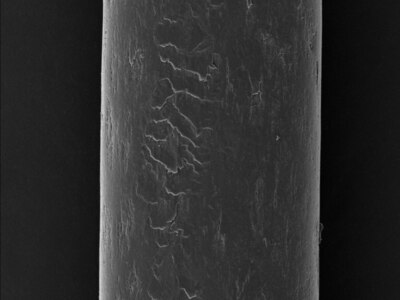 電子顕微鏡による自分の髪のキューティクル診断ができます