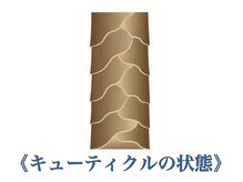 【mint by forteの縮毛矯正】mint by forteの縮毛矯正の仕組み[髪質改善/縮毛矯正/静岡/学割U24]