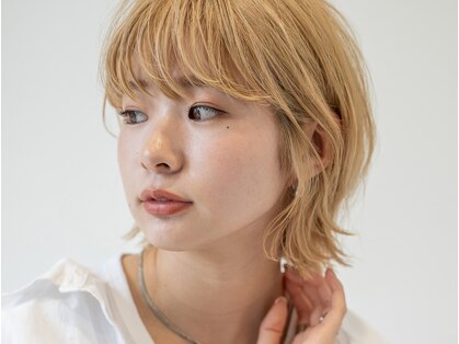 ヨール(YOL)の写真