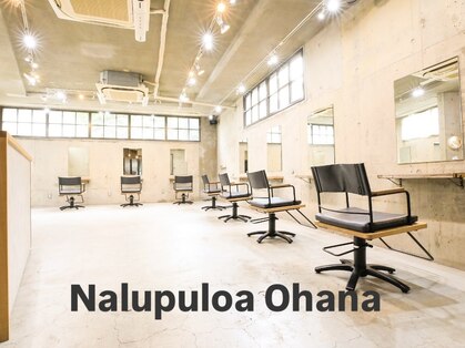 ナループロアオハナ(Nalu pu loa ohana)の写真