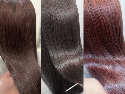 ミモザ シンサイバシ(Mimosa shinsaibashi)の写真