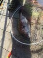 ナチュラルピーチーク(Natural.p Cheek)&nbsp;釣りで魚を釣るとテンション上がります！