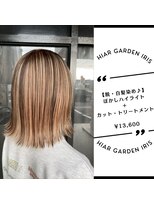 アイリス(IRIS)&nbsp;ハイライト