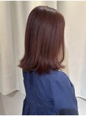 【エルサフィロ　肥後橋】お客様スタイル